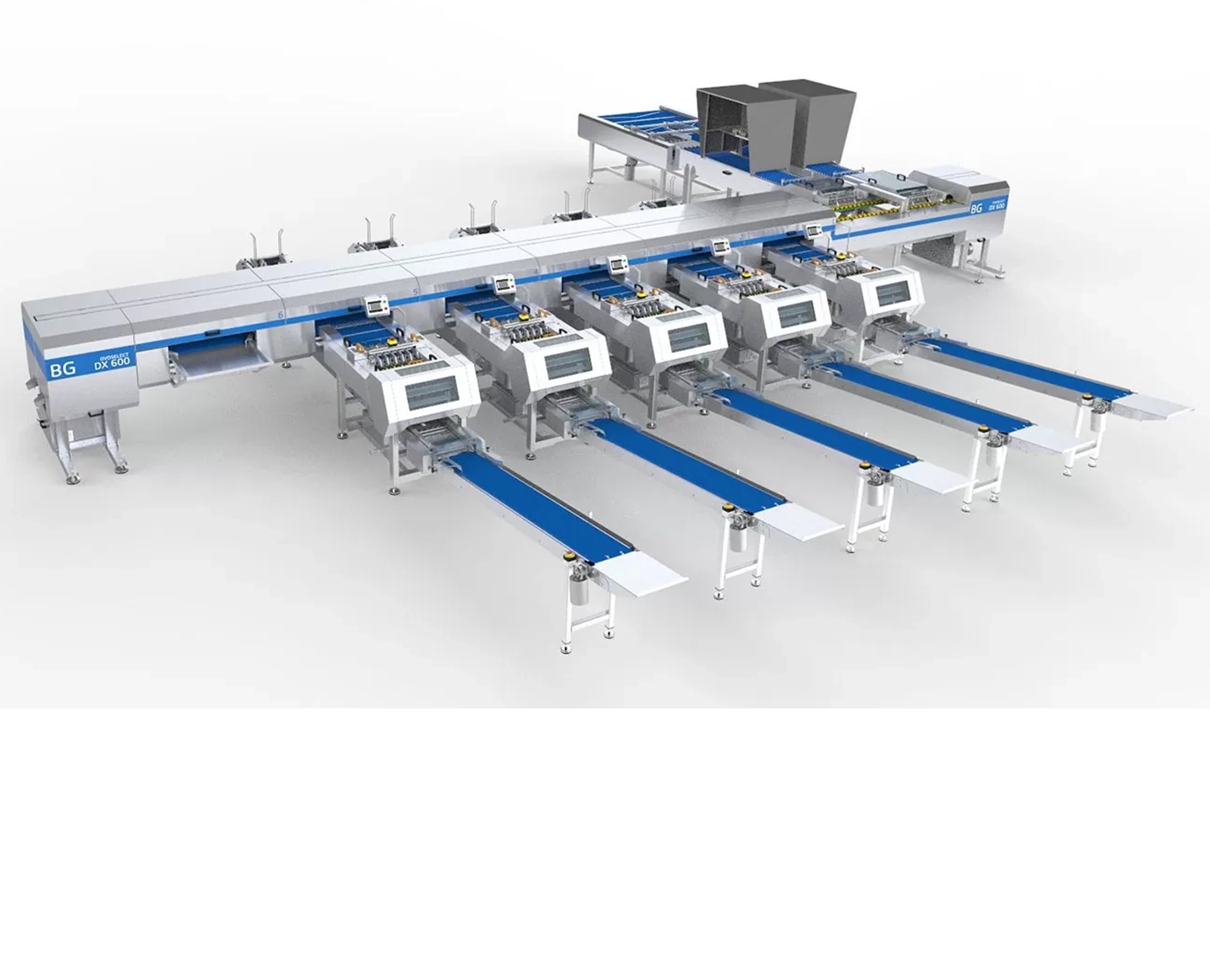 EGG GRADER